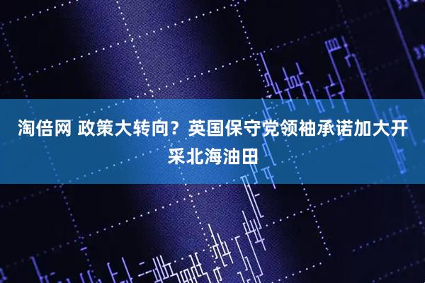 淘倍网 政策大转向？英国保守党领袖承诺加大开采北海油田