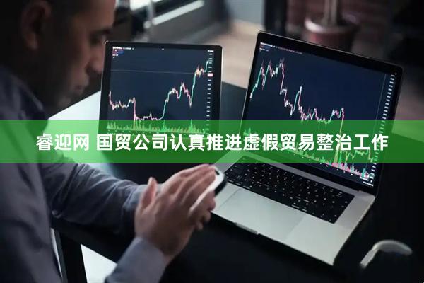 睿迎网 国贸公司认真推进虚假贸易整治工作